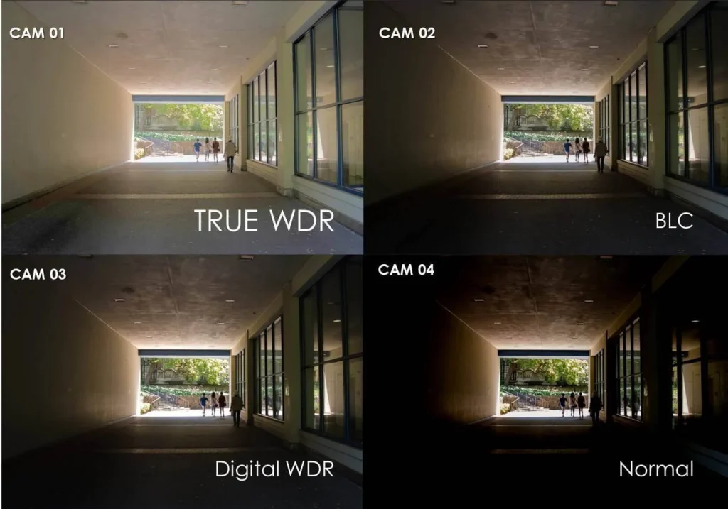 WDR Cameras
